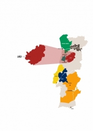 Portugal: Boas Quintas - Encosta da Vinha Tinto