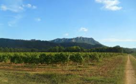 Frankrijk: Domaine Gayolle - Les Platanes Rouge