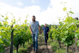 Frankrijk: St-Nicolas-de-Bourgueil 'La Pierre du Lane'
