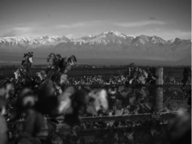 Hormiga Negra Malbec