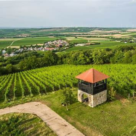 Duitsland: Weingut Raddeck Riesling Trocken