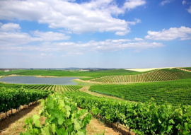 Portugal: Serradayres Reserva Tinto