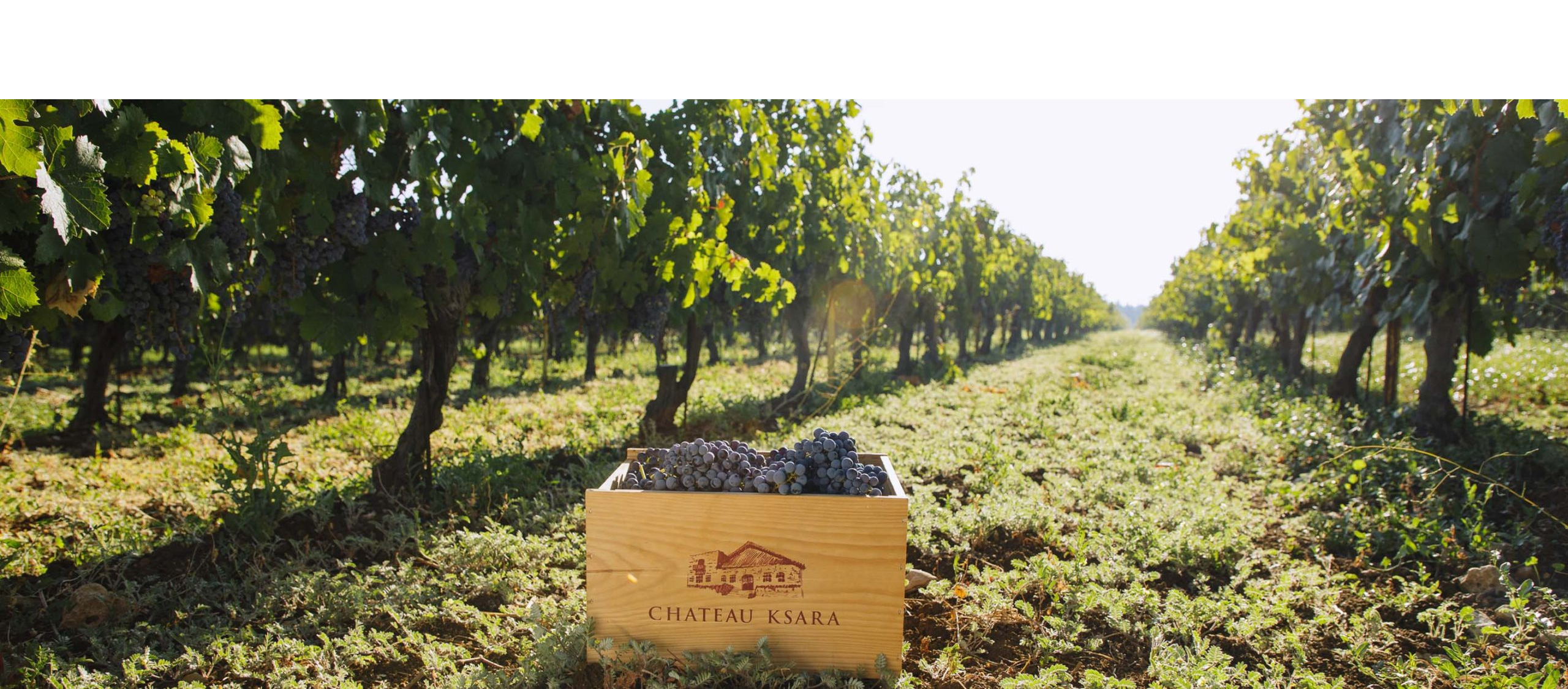 Libanon: Château Ksara – Clos St. Alphonse