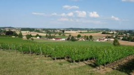 Saint-Pourcain - By The Grape