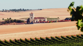 Spanje : Sinforiano Quelías Rosé Cigales