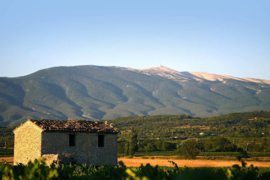 Frankrijk: Domaine de Marotte Cuvée Vieilles Vignes