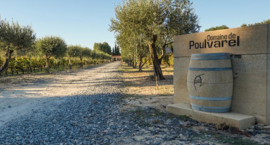 Frankrijk: Domaine de Poulvarel – Le Bouquet Blanc