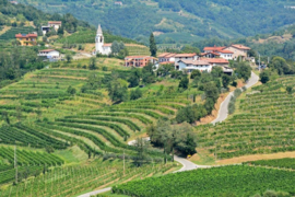 Slovenië: Quercus Rebula