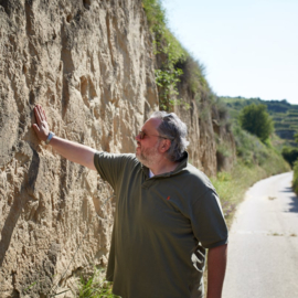 Grüner Veltliner Ott Am Berg
