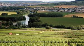 Frankrijk: Champagne Joseph Perrier Cuvée Royale Brut (375cl)