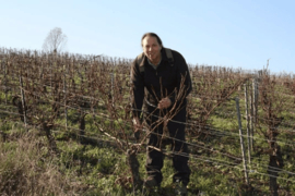 Jean Goulley Chablis