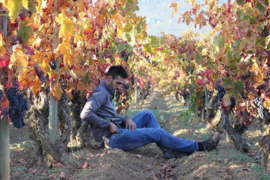 Spanje: Cueva de Lobos Rioja Blanco