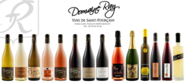 Saint-Pourcain - By The Grape