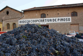 Spanje: Bodegas Pinoso - Cepa 50