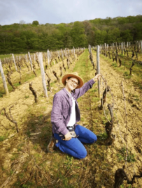 Jura Esperluète Chardonnay