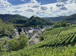 Duitsland – Pfalz | Lenné - Pinot Blanc