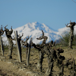 Frankrijk: Cuvée Françoise Crémant de Limoux