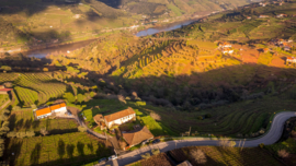 Sequeirinha Colheita Port