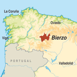 Bierzo - By The Grape