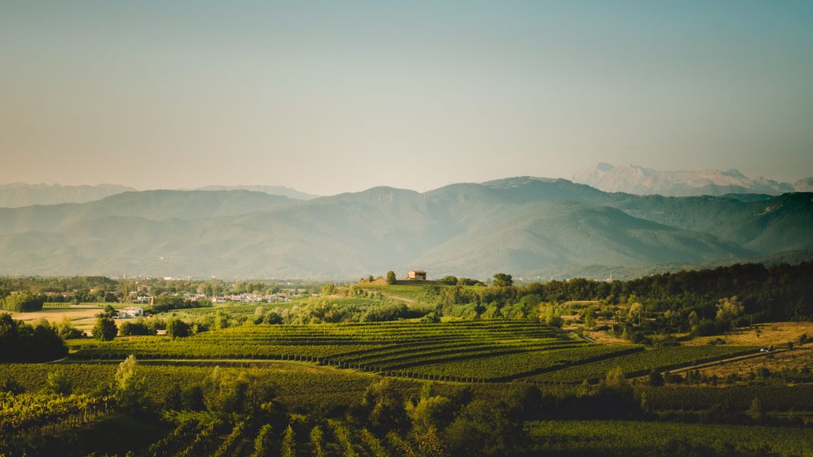 Italië: Perusini – Refosco dal Peduncolo Rosso