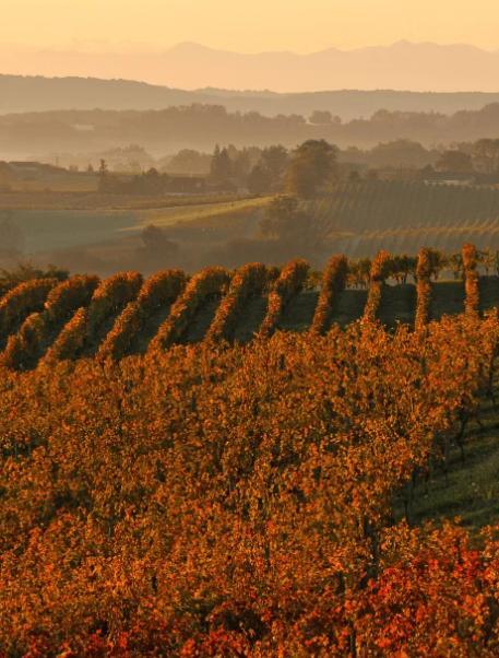 Frankrijk: Mission in a Bottle Gascogne Red