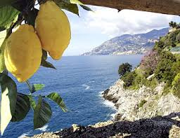 Terra di Limone Amalfi Limoncello