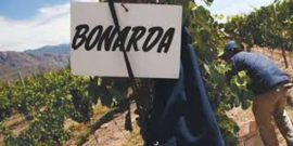 Bonarda...! - By The Grape