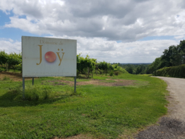 Frankrijk: Domaine de Joy L'Éclat Côtes de Gascogne