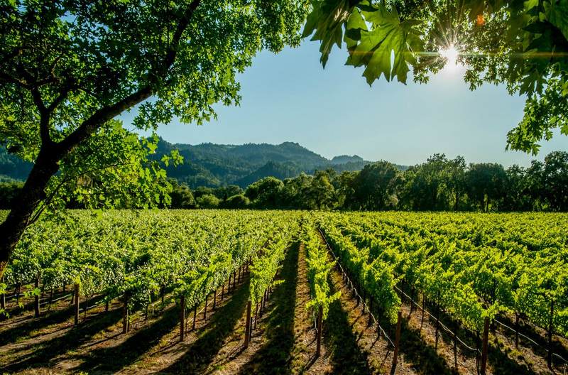 Spanje: Puerta Adalia Verdejo Fermentado en Barrica
