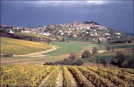 Zomers genoegen in Sancerre - Gooische Tam Tam - zomer 2017