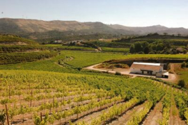 Portugal: Casaleiro Colheita Selecionada Branco