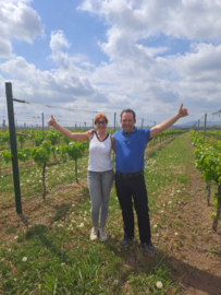 ​Azerbeidzjan: Savalan Winery – Viognier