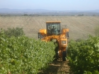 Frankrijk: Domaine Colombette Sauvignon Blanc