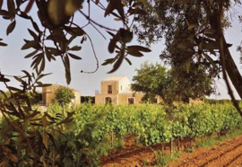 Santa Tresa Grillo & Viognier