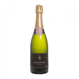 Gooische TamTam Winter 2021 'Champagne komt uit....'