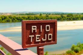 Portugal: Casaleiro Colheita Selecionada Branco
