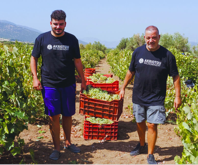 Griekenland: Akriotou Micro Winery The Blender White (Salty Tony)