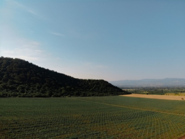 Georgië: Marani Premium Brut