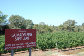 Frankrijk: La Madeleine Saint-Jean | Marselan-Merlot