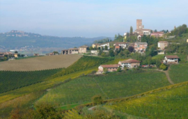 Italië: Prodottori dei Barbaresco - Barbaresco Docg