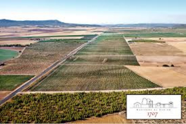 Spanje: Hacienda el Espino - Joven Garnacha Tinto