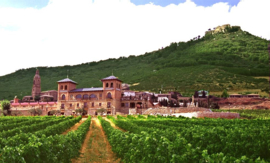 Latido Wild Garnacha Blanca