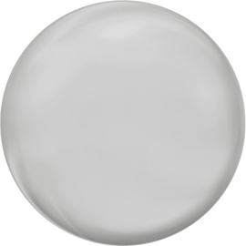 Swarovski #5860 Coin Pearl 16mm, per stuk