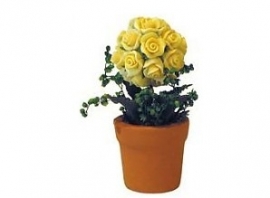 Plant rozen geel
