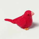 Vogeltje rood