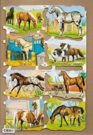 Poezieplaatjes Paarden MLP 1532