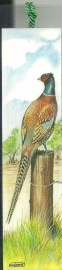 Boekenlegger natuur fazant