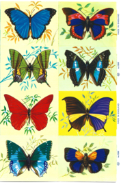Poezieplaatjes Nostalgische vlinders MLP 1250 Dubbel Vel