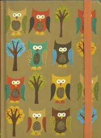 Peter Pauper Press Notitieboek Owls Journal A5