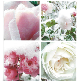Wenskaart Winter 5